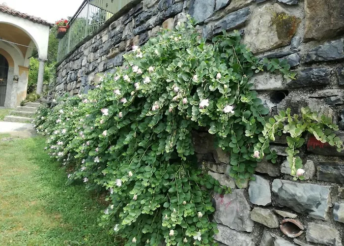 Balcone Dei Limoni *