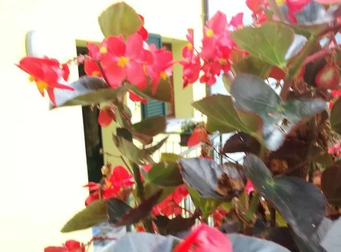 Balcone Dei Limoni Apartment Nesso