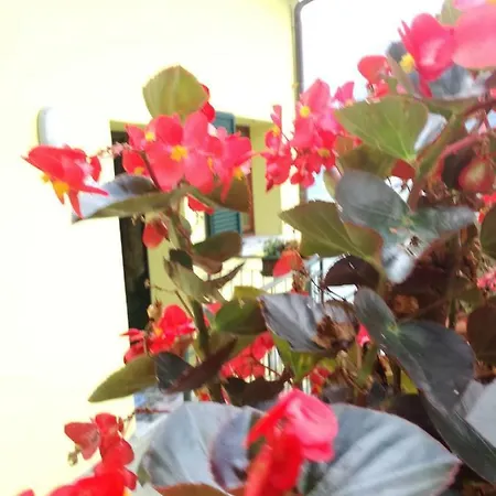 Balcone Dei Limoni Апартаменты Нессо